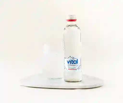 Agua Natural Vital, 330 Ml