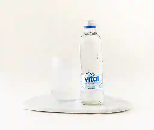 Agua Natural Con Gas Vital, 330 Ml