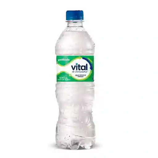 Agua Vital Con Gas 600ml