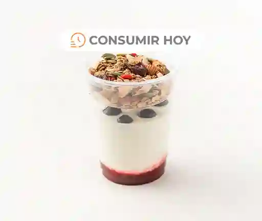 Yogurt Con Granola Y Berries 260 G