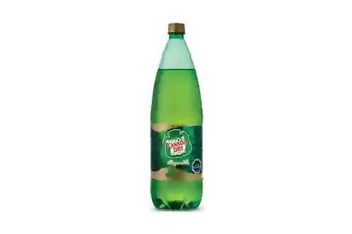 Canada Dry Ginger Ale 1,5 Lt