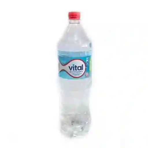 Agua Vital Sin Gas 500 Cc
