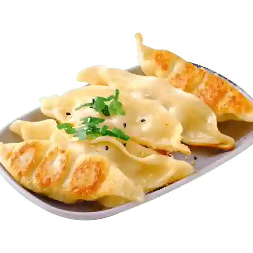 Gyozas Cerdo X 5