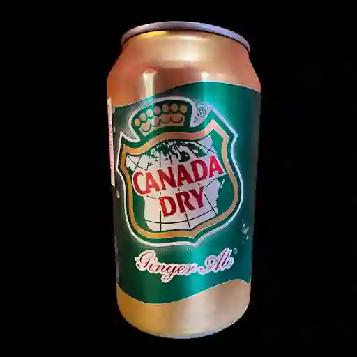 Canada Dry 350 Cc