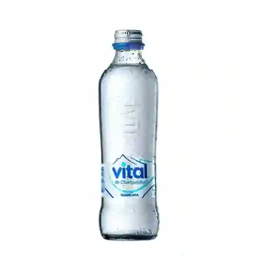 Agua Mineral Vital Con Gas