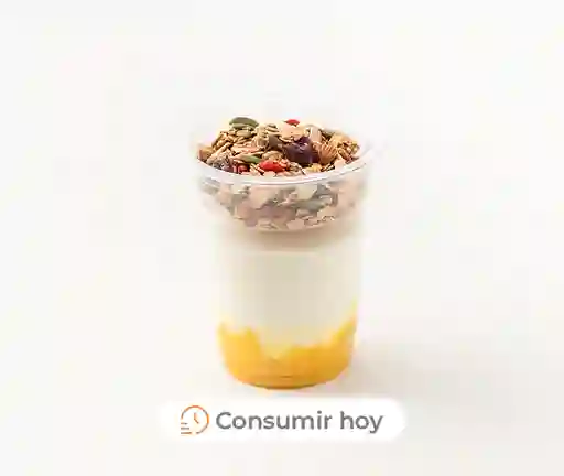 Yogurt Con Granola Y Mango 260 G