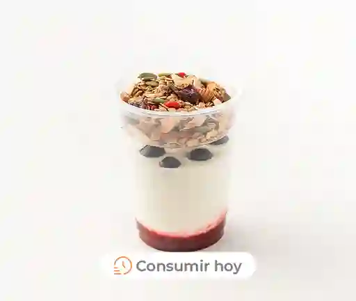 Yogurt Con Granola Y Berries 260 G