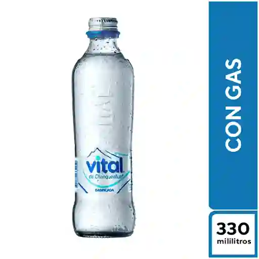Agua Vital Con Gas 330ml