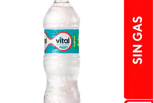 Vital Sin Gas 600 Ml