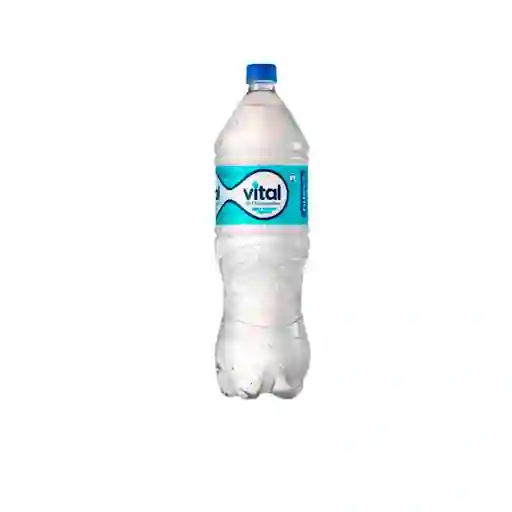 Agua Vital Con Gas 500 Cc