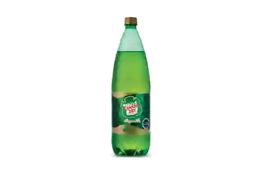 Canada Dry Ginger Ale 1.5 Lt