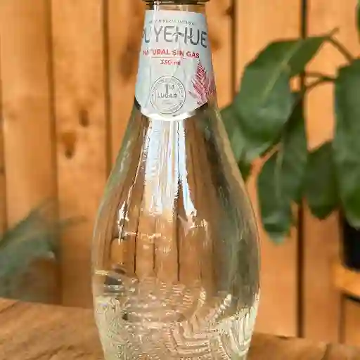 Agua Puyehue Sin Gas