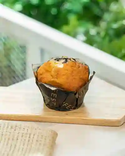 Queso Arándanos