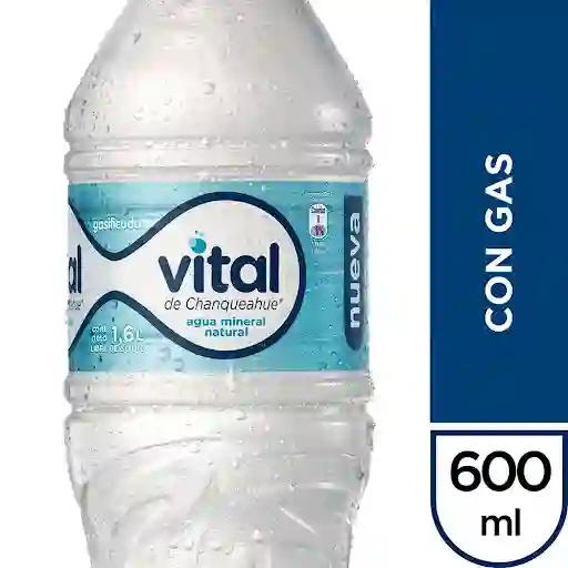 Agua Mineral Vital C/gas 600cc