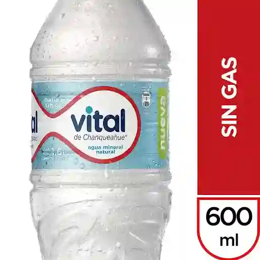 Agua Mineral Vital S/gas 600cc