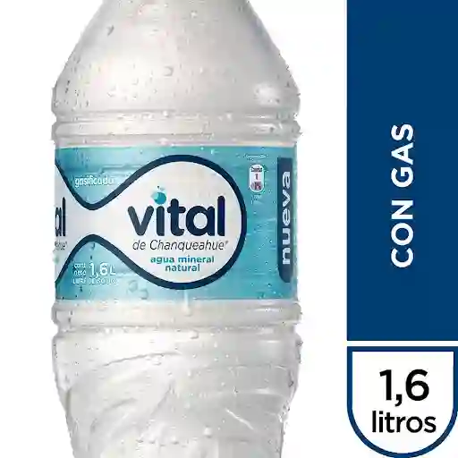 Agua Mineral Vital C/gas 1600cc
