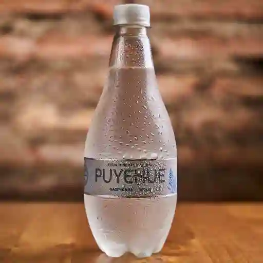 Puyehue Con Gas 500cc