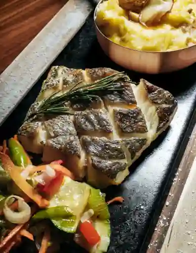 Pesca Del Día A Las Brasas