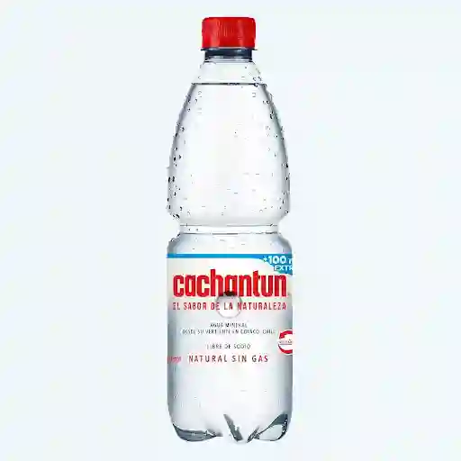 Agua Mineral 500cc S/gas