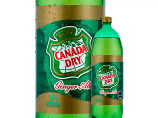 Canada Dry Ginger Ale 3.0 Lts.