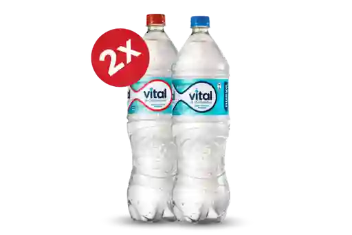 2x Aguas Vital 1,6l Var.