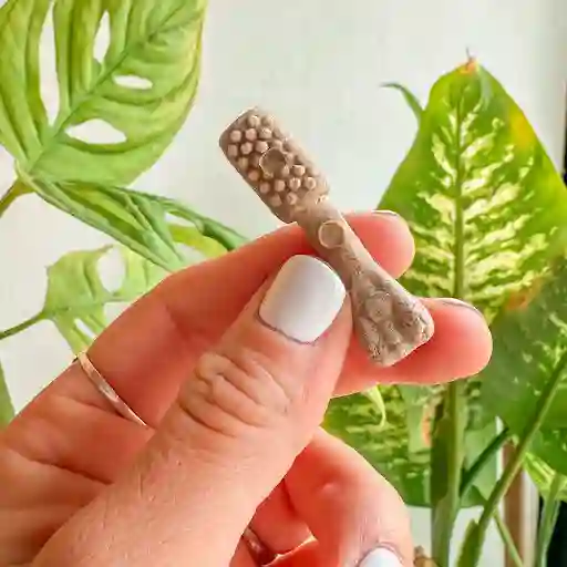 Golosina Dientes Sanos Mini