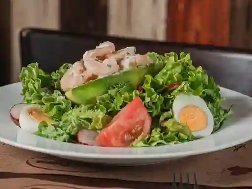 Palta Cardenal