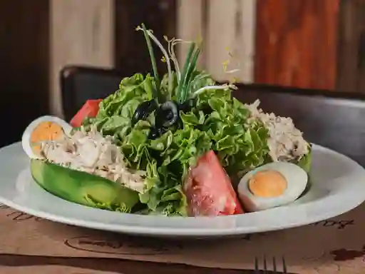 Palta Reina