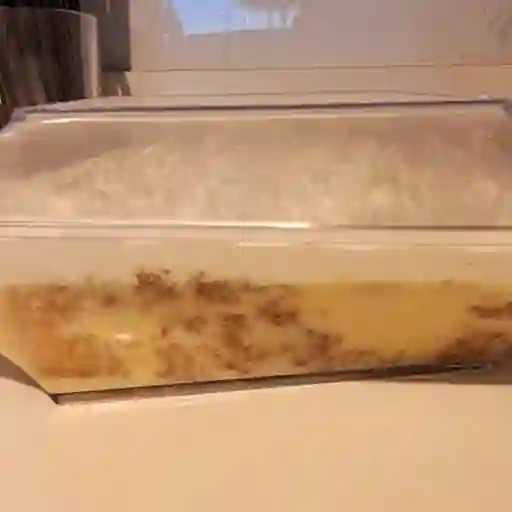 Tres Leches 6-8 Personas