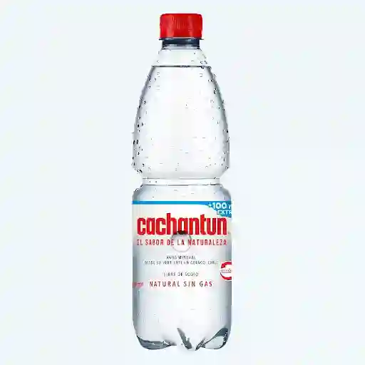 Agua Mineral 500cc S/gas