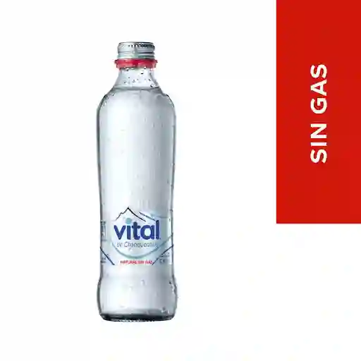Agua Mineral Vital S/g 330cc