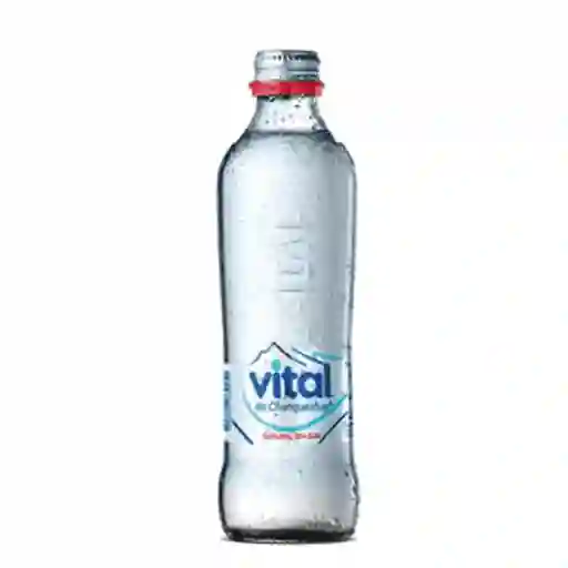 Agua Vital Sin Gas 330cc