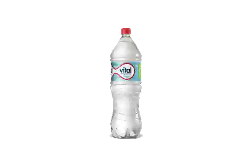 Agua Vital Sin Gas 1.6l