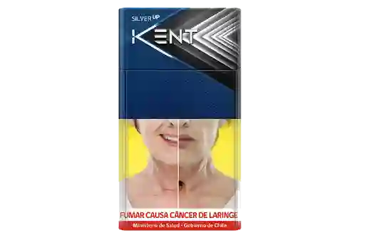 Kent Silver Up 20's (rc)