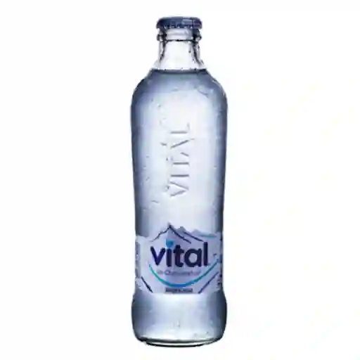 Agua Vital Con Gas 330cc