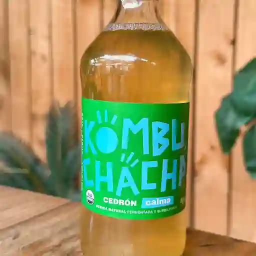 Kombucha Botella 500cc.