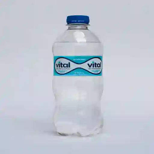 Agua Mineral Vital 600 Cc