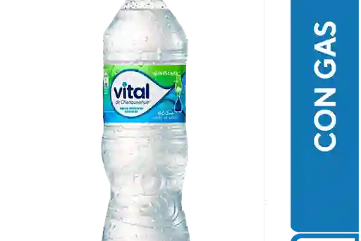 Vital Con Gas 600 Ml