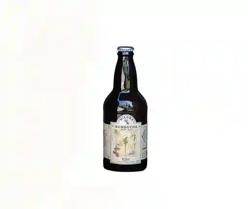 Komucha Elixir 500 Cc, Biloba