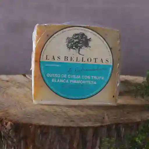 Oveja Curado Tartufo (trufa Blanca)