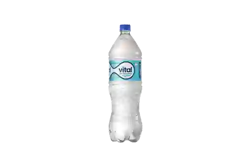 Agua Vital Con Gas 1.6l