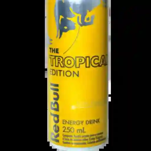 Red Bull Yellow Lata 350 C.c