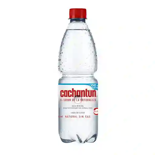 Agua Sin Gas 500 Ml