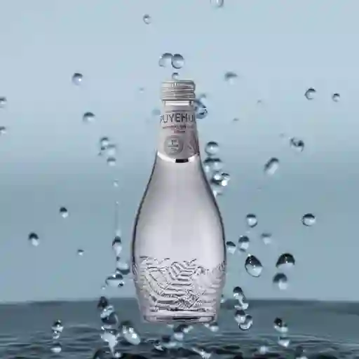 Agua Mineral Con Gas Botella Pet