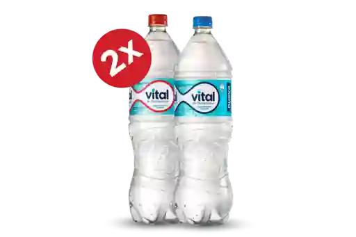 2x Aguas Vital 1,6l Var.