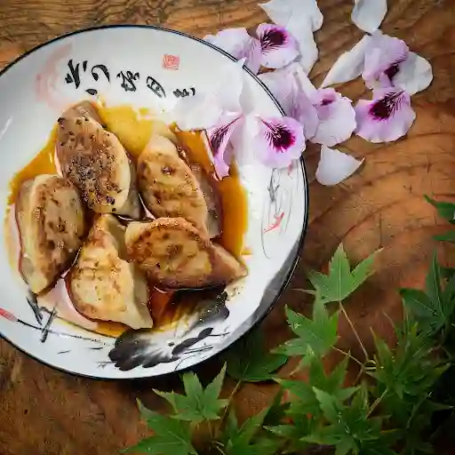 Gyozas Verduras