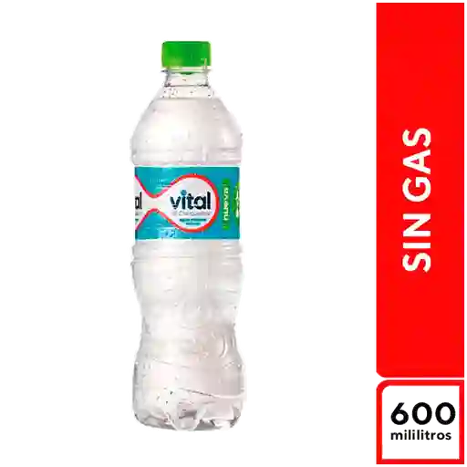 Agua Vital Sin Gas 500ml