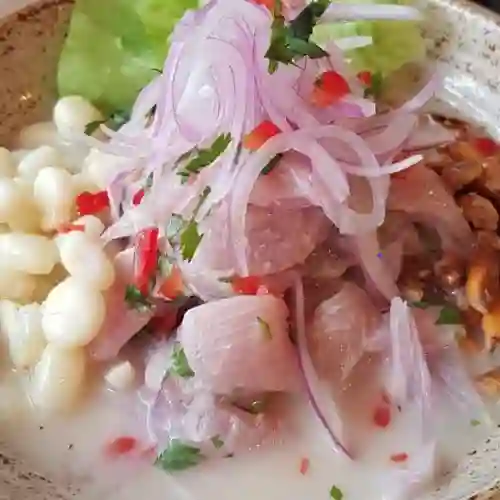 PUERTO MALABRIGO CEVICHERIA