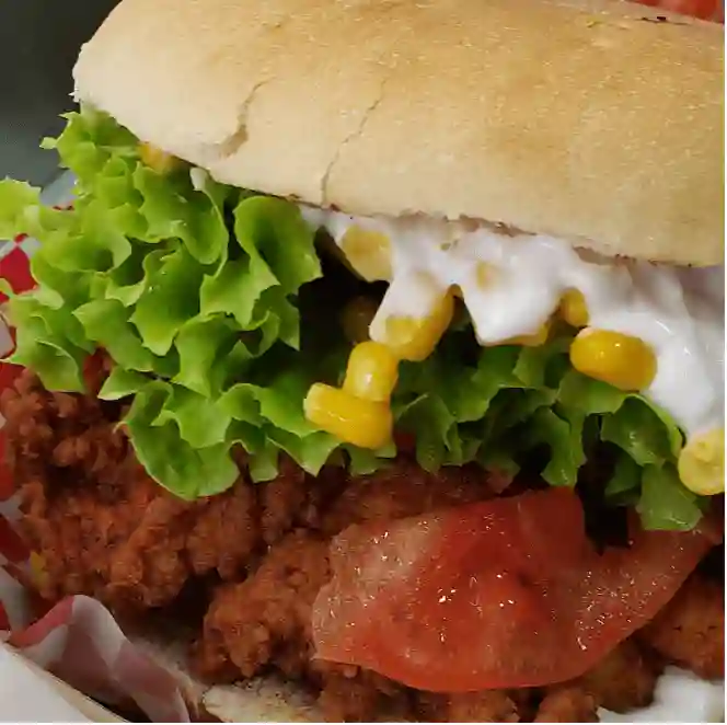 Dr. Fries a Domicilio Dr. Fries