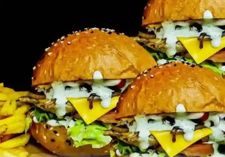 Mega Burger Santiago Centro